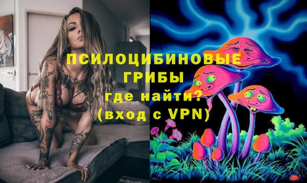 спайс Аркадак