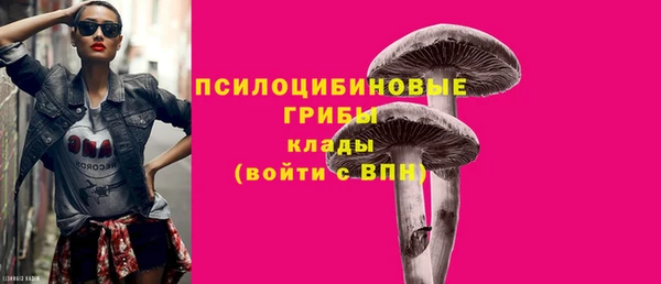 спайс Аркадак