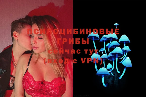 спайс Аркадак