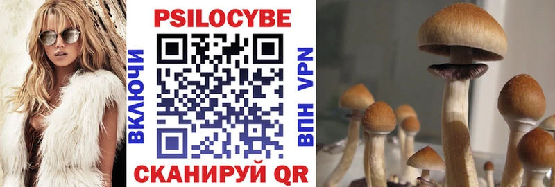 Псилоцибиновые грибы мицелий  Ишим 