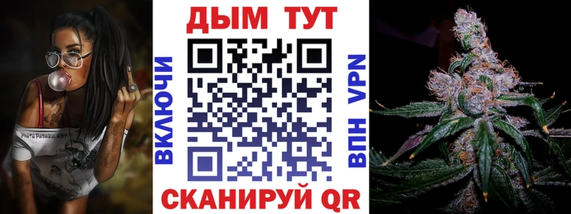 mega онион  Ишим  Конопля сатива 